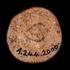 1091_c_rorkes_drift_sf